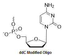 Bio-Synthesis Inc. Oligo Structure